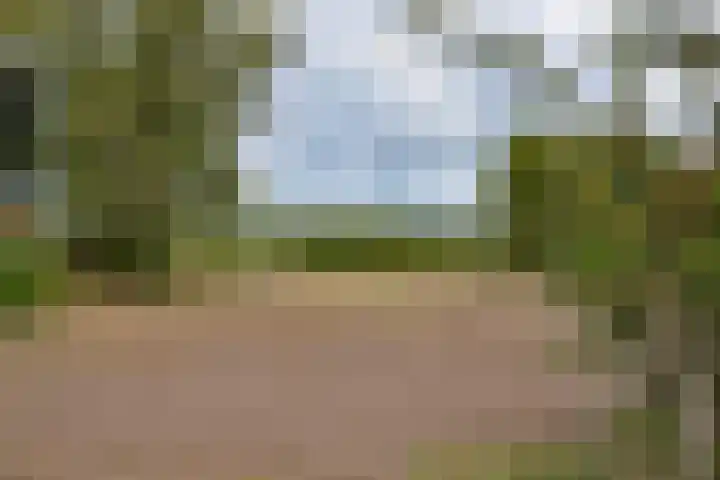 Koninginnelaan 127 Soest thumbnail 34