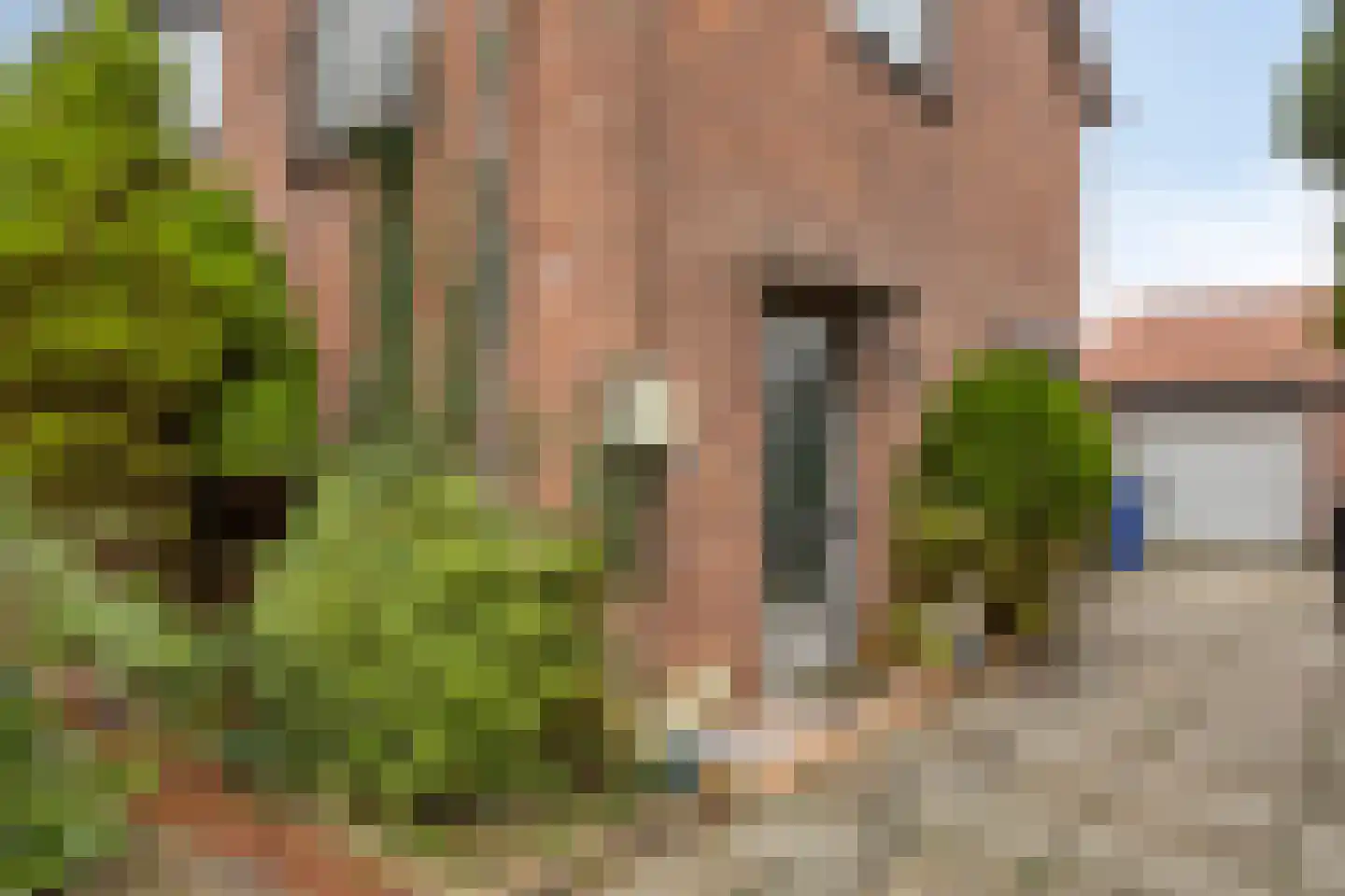 Koninginnelaan 13 Terneuzen thumbnail 6