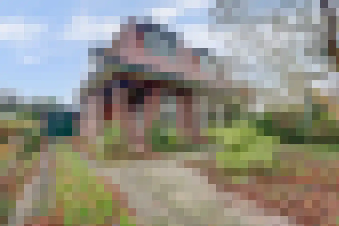 Koninginnelaan 14 Rozenburg