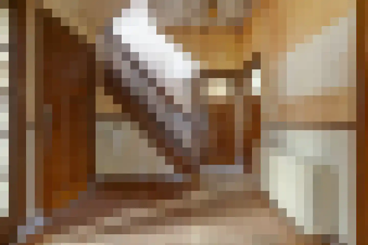 Koninginnelaan 14 Rozenburg thumbnail 12