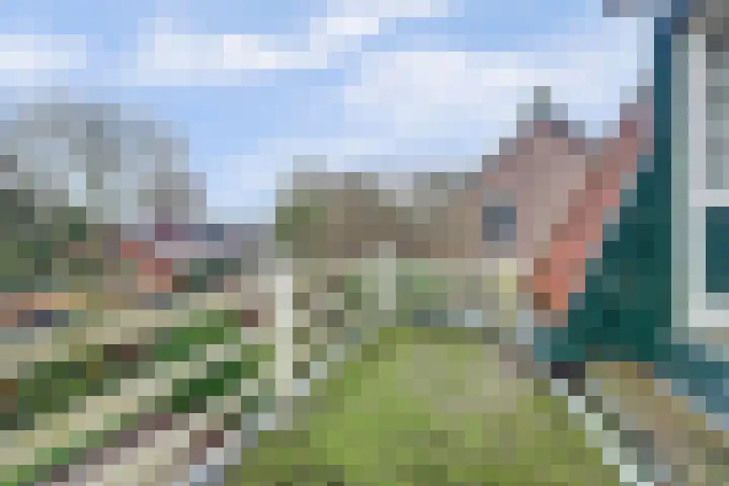 Koninginnelaan 14 Rozenburg thumbnail 34