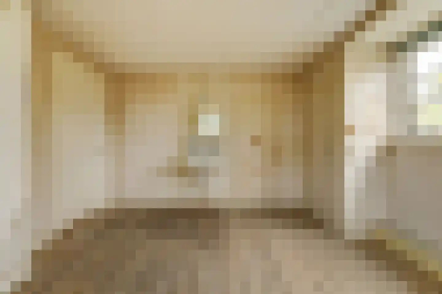 Koninginnelaan 14 Rozenburg thumbnail 35
