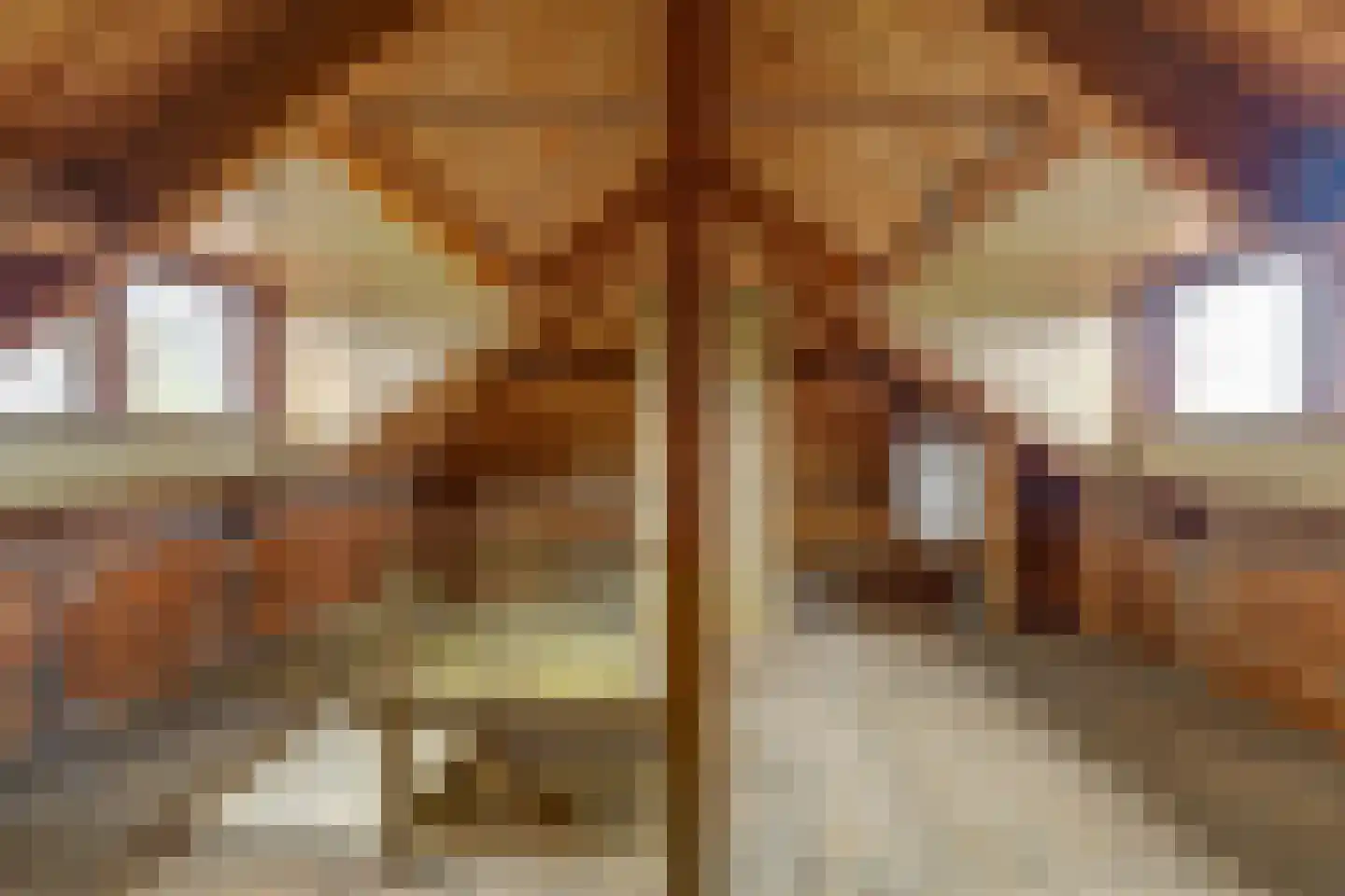 Koninginnelaan 14 Rozenburg thumbnail 39