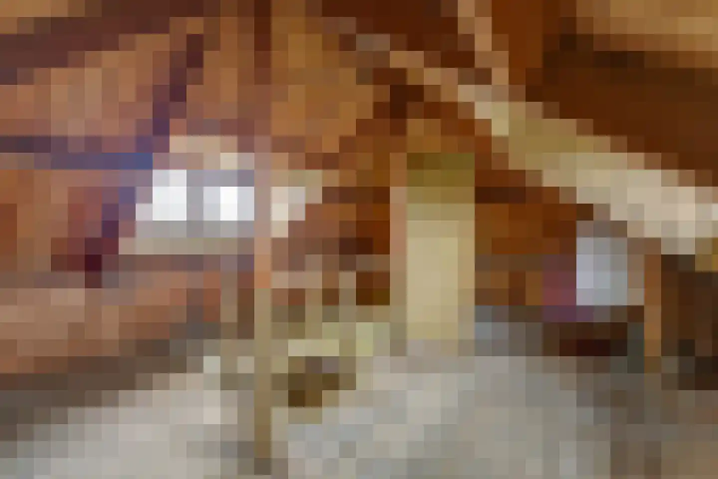 Koninginnelaan 14 Rozenburg thumbnail 40
