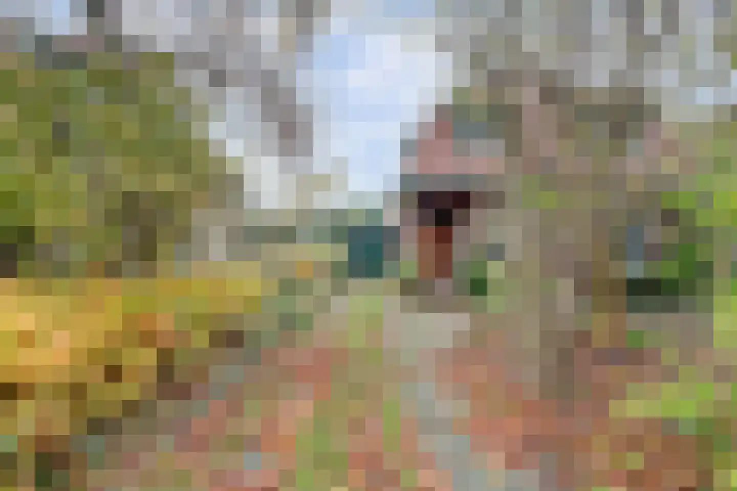 Koninginnelaan 14 Rozenburg thumbnail 5