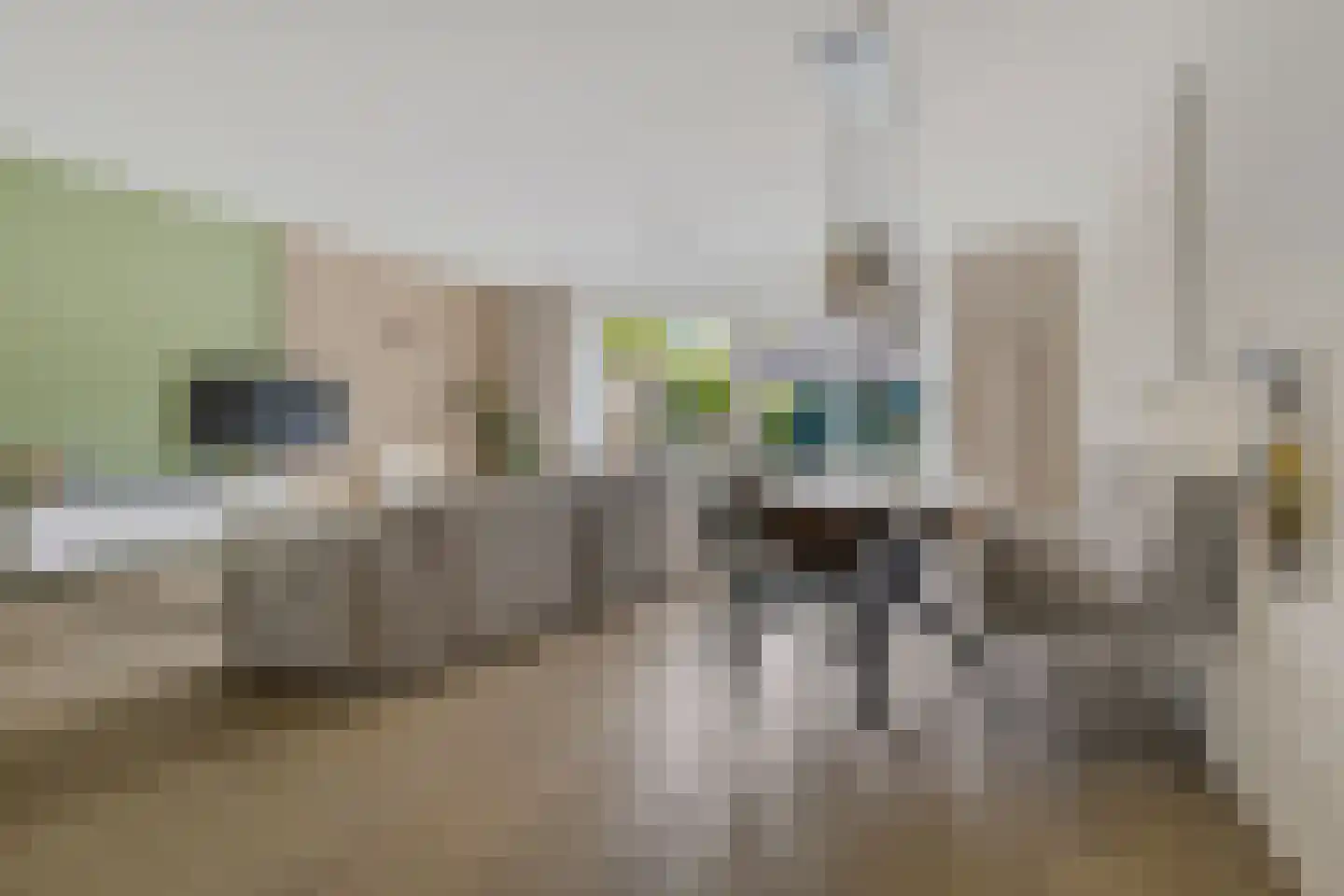 Koninginnelaan 15 Appingedam thumbnail 10