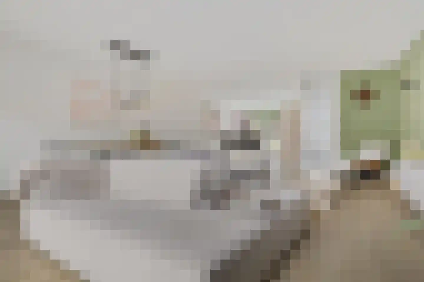 Koninginnelaan 15 Appingedam thumbnail 11