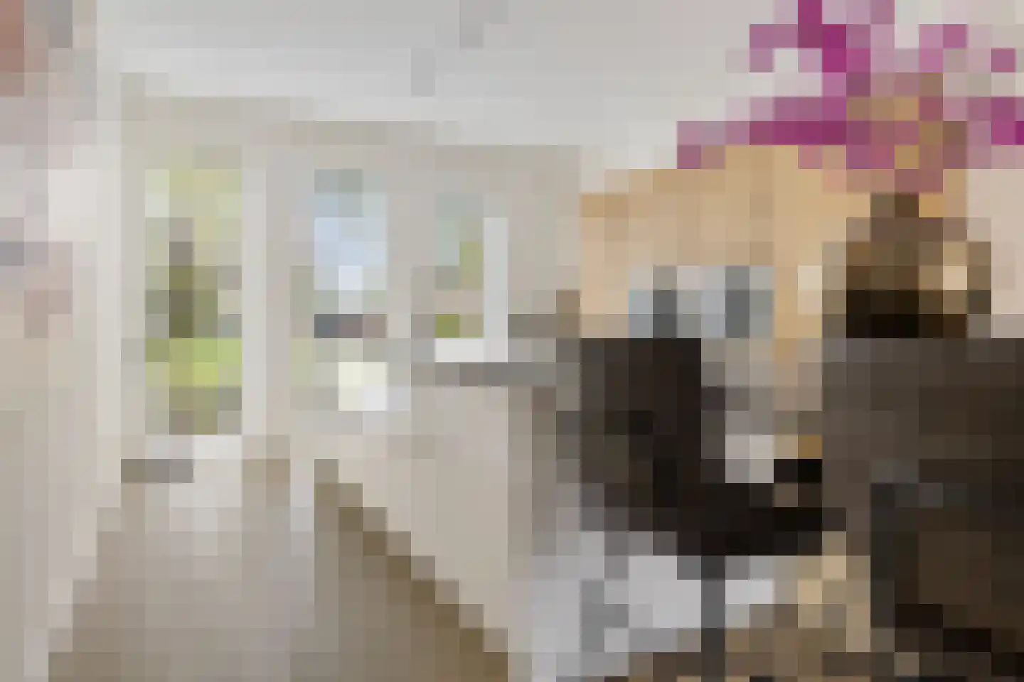 Koninginnelaan 15 Appingedam thumbnail 16