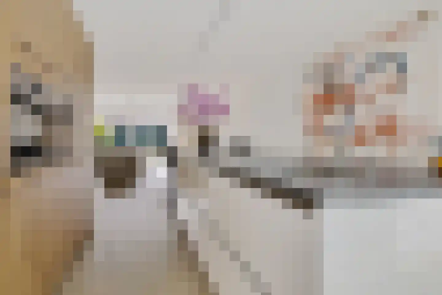 Koninginnelaan 15 Appingedam thumbnail 19