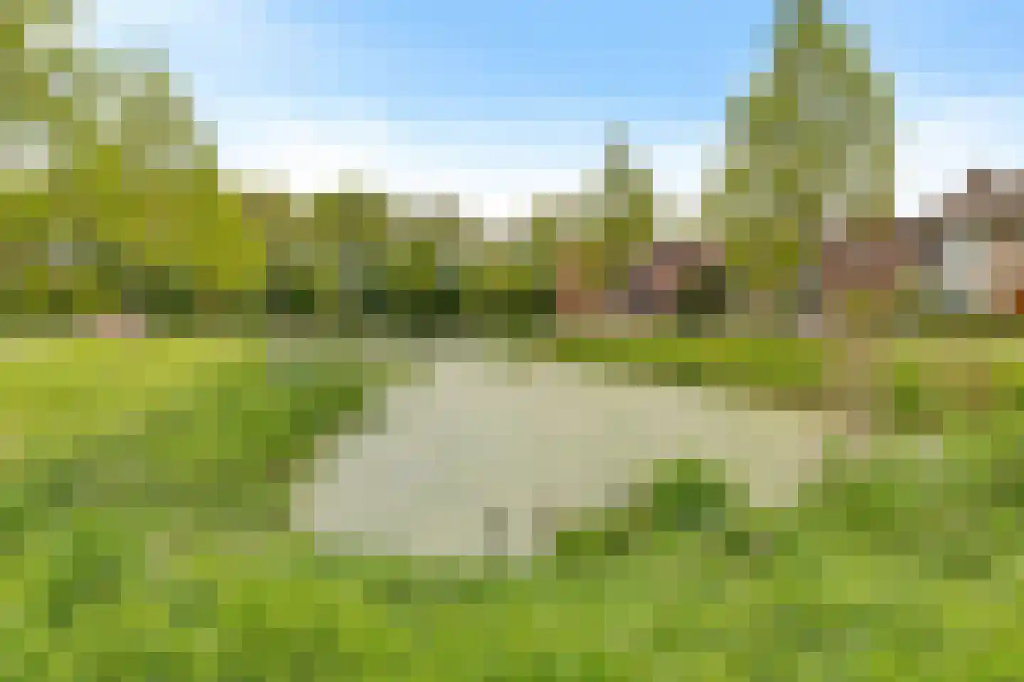 Koninginnelaan 15 Appingedam thumbnail 45