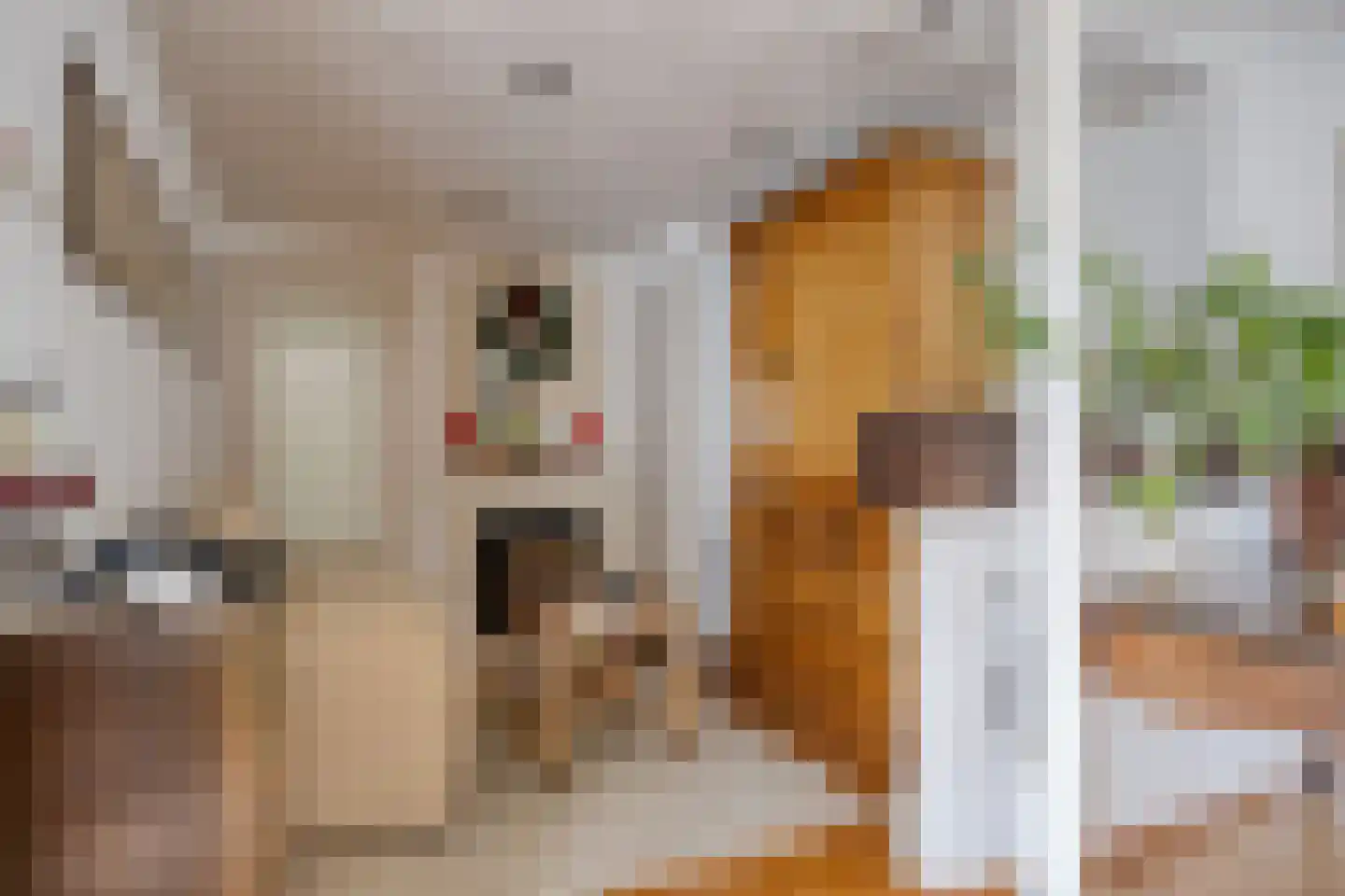 Koninginnelaan 15 Geldermalsen thumbnail 16
