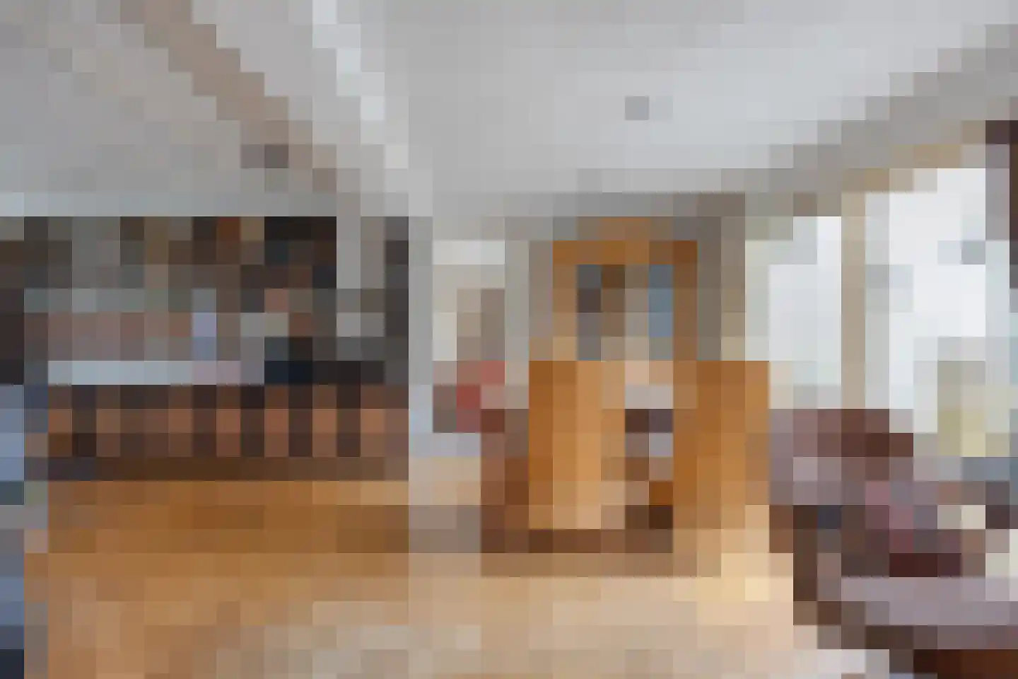 Koninginnelaan 15 Geldermalsen thumbnail 17