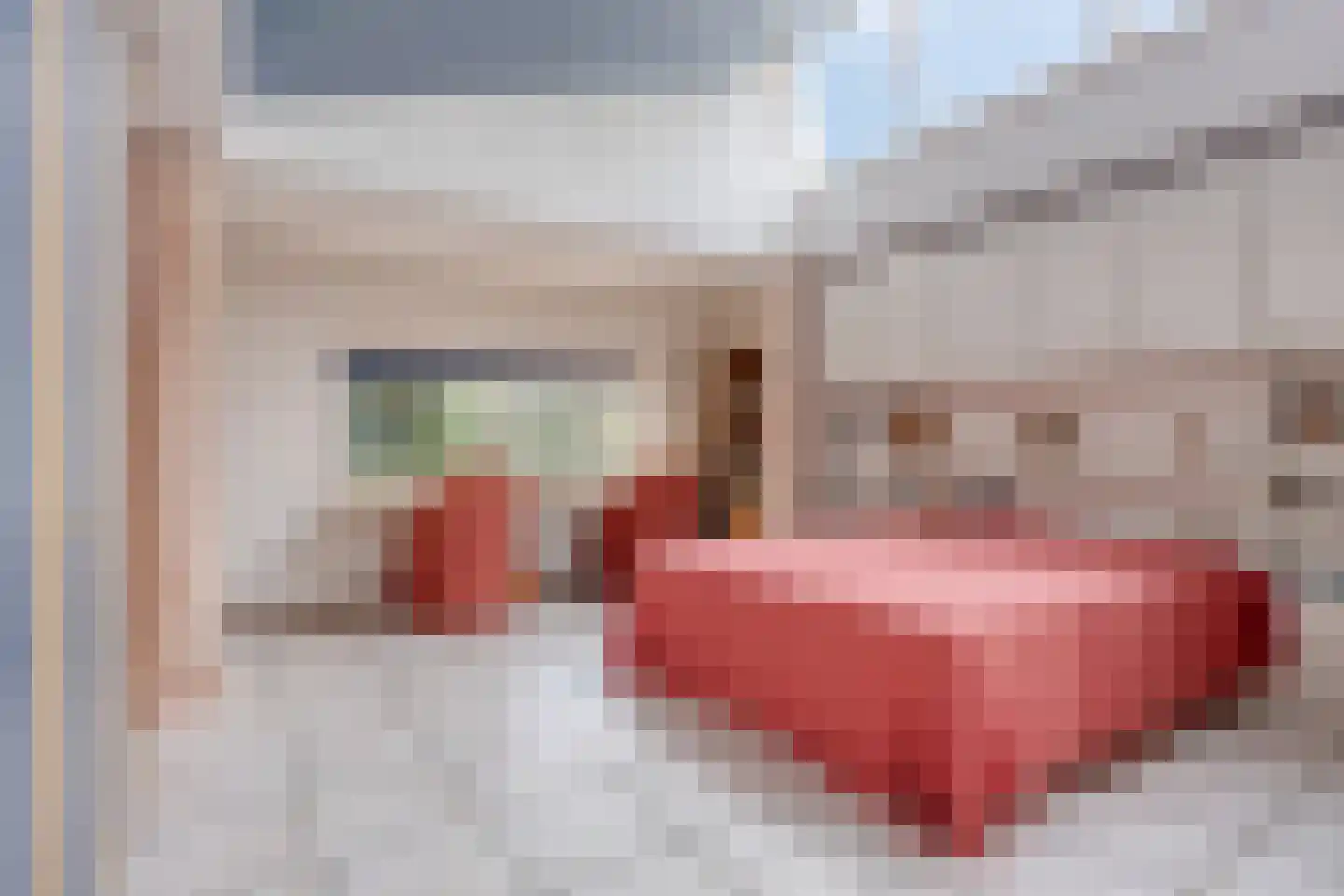 Koninginnelaan 15 Geldermalsen thumbnail 25