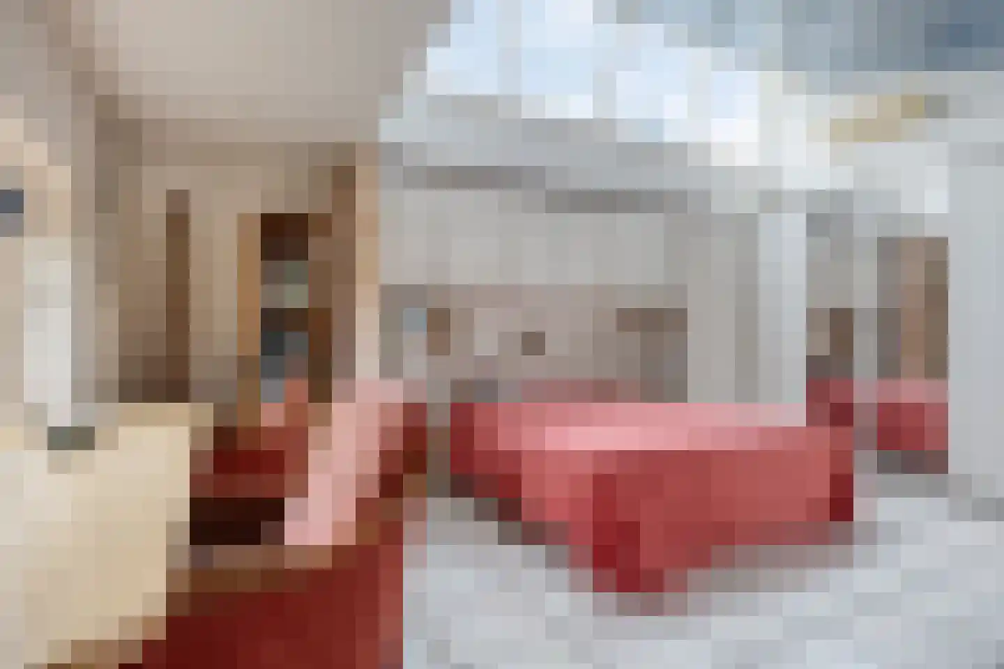 Koninginnelaan 15 Geldermalsen thumbnail 26
