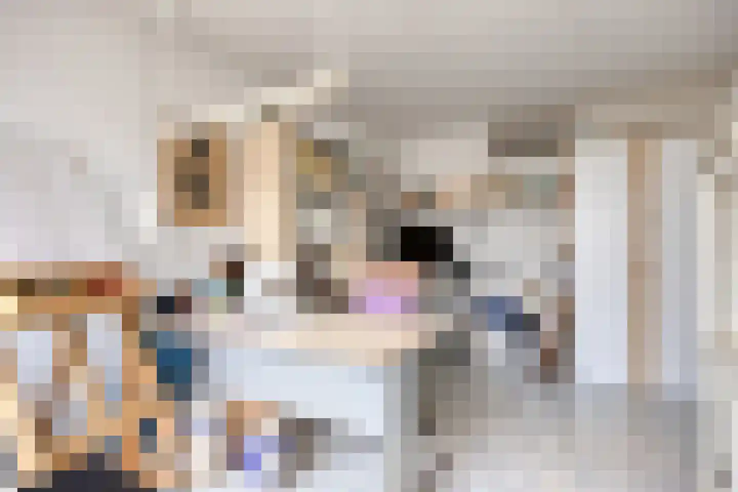 Koninginnelaan 15 Geldermalsen thumbnail 36