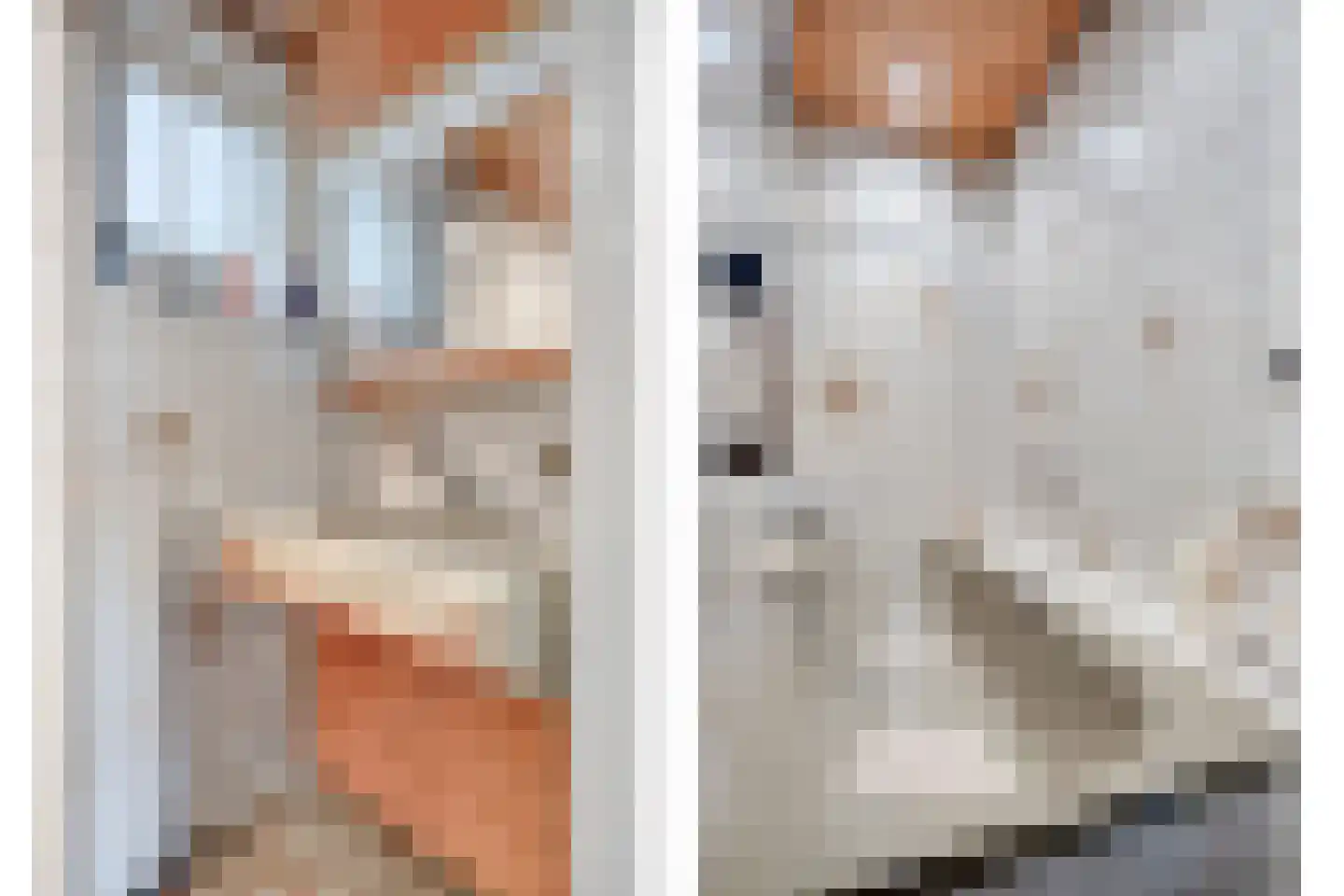 Koninginnelaan 15 Geldermalsen thumbnail 39