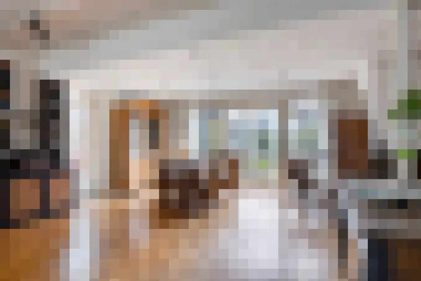 Koninginnelaan 15 Geldermalsen thumbnail 4