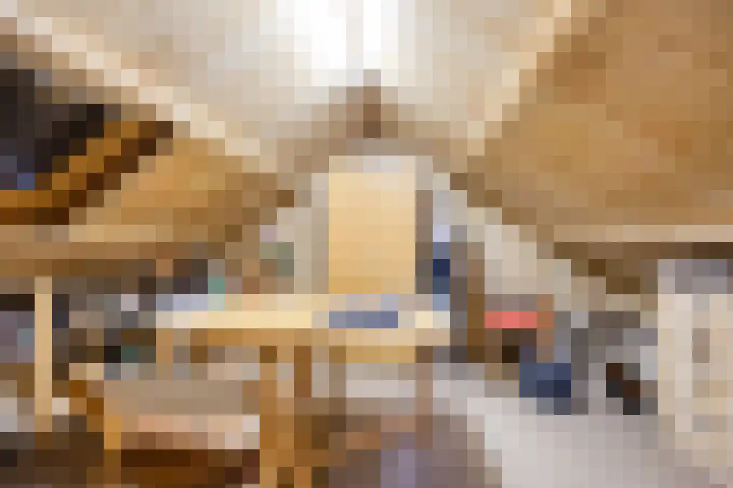 Koninginnelaan 15 Geldermalsen thumbnail 42