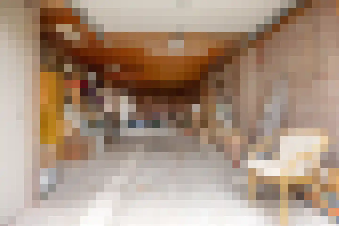 Koninginnelaan 15 Geldermalsen thumbnail 43