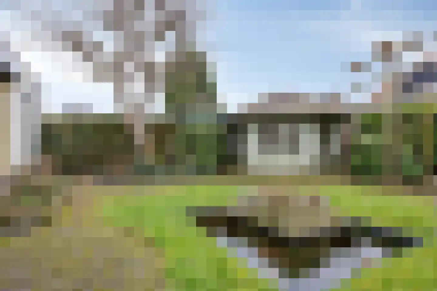 Koninginnelaan 15 Geldermalsen thumbnail 47