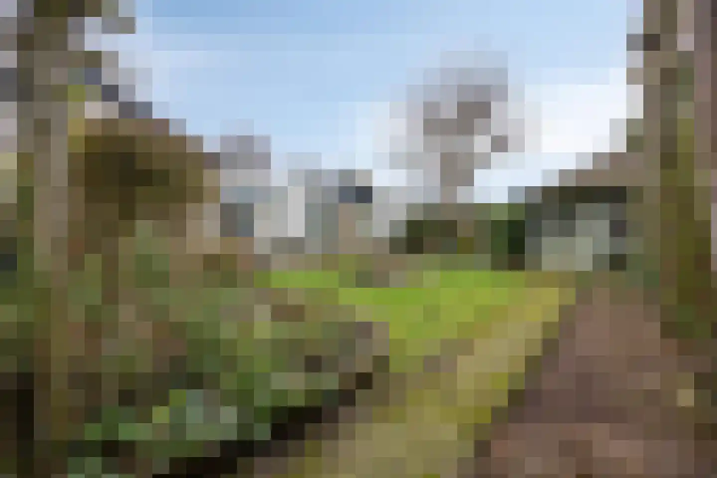 Koninginnelaan 15 Geldermalsen thumbnail 48