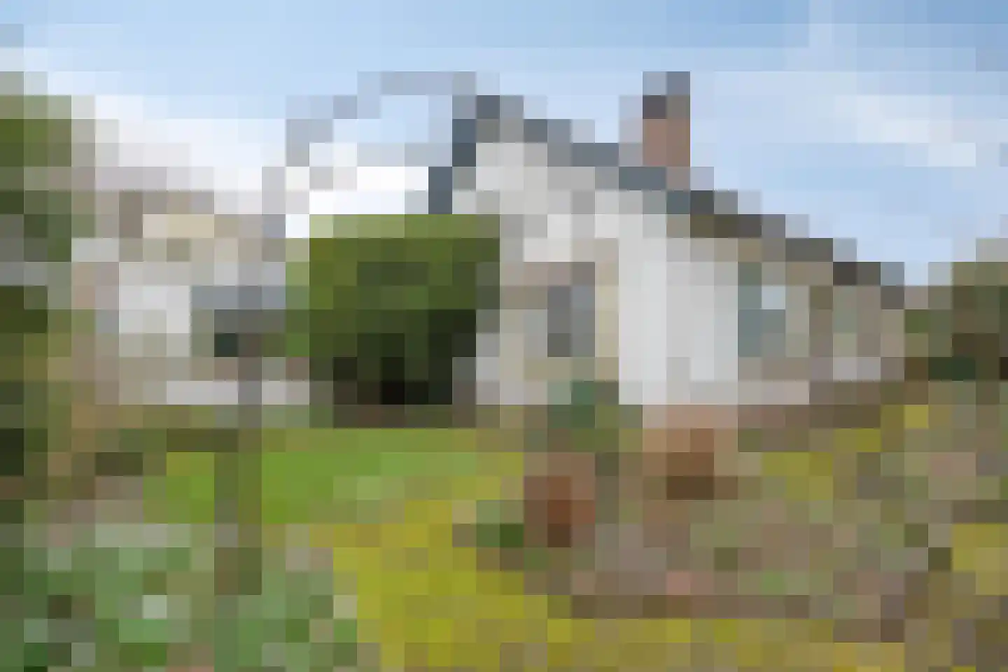 Koninginnelaan 15 Geldermalsen thumbnail 56