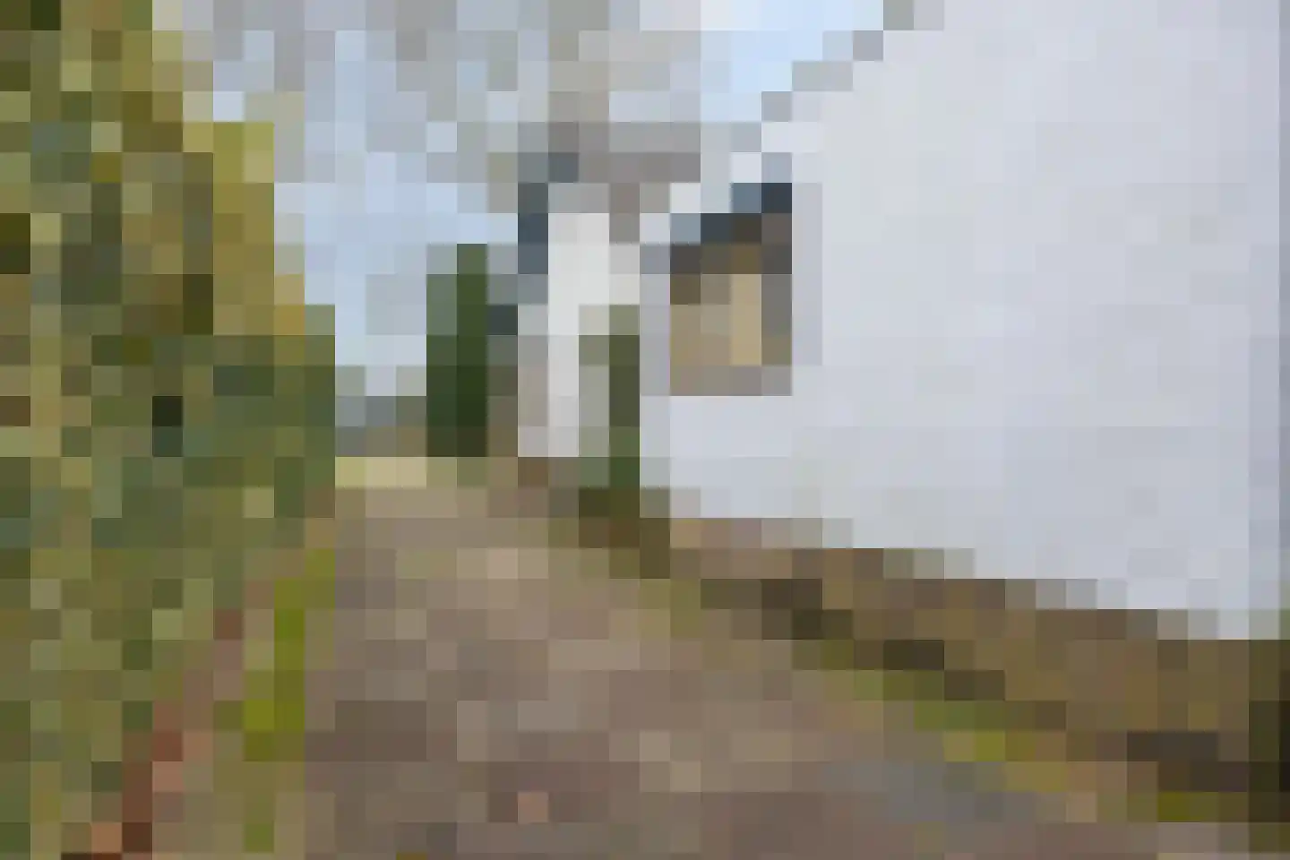 Koninginnelaan 15 Geldermalsen thumbnail 58