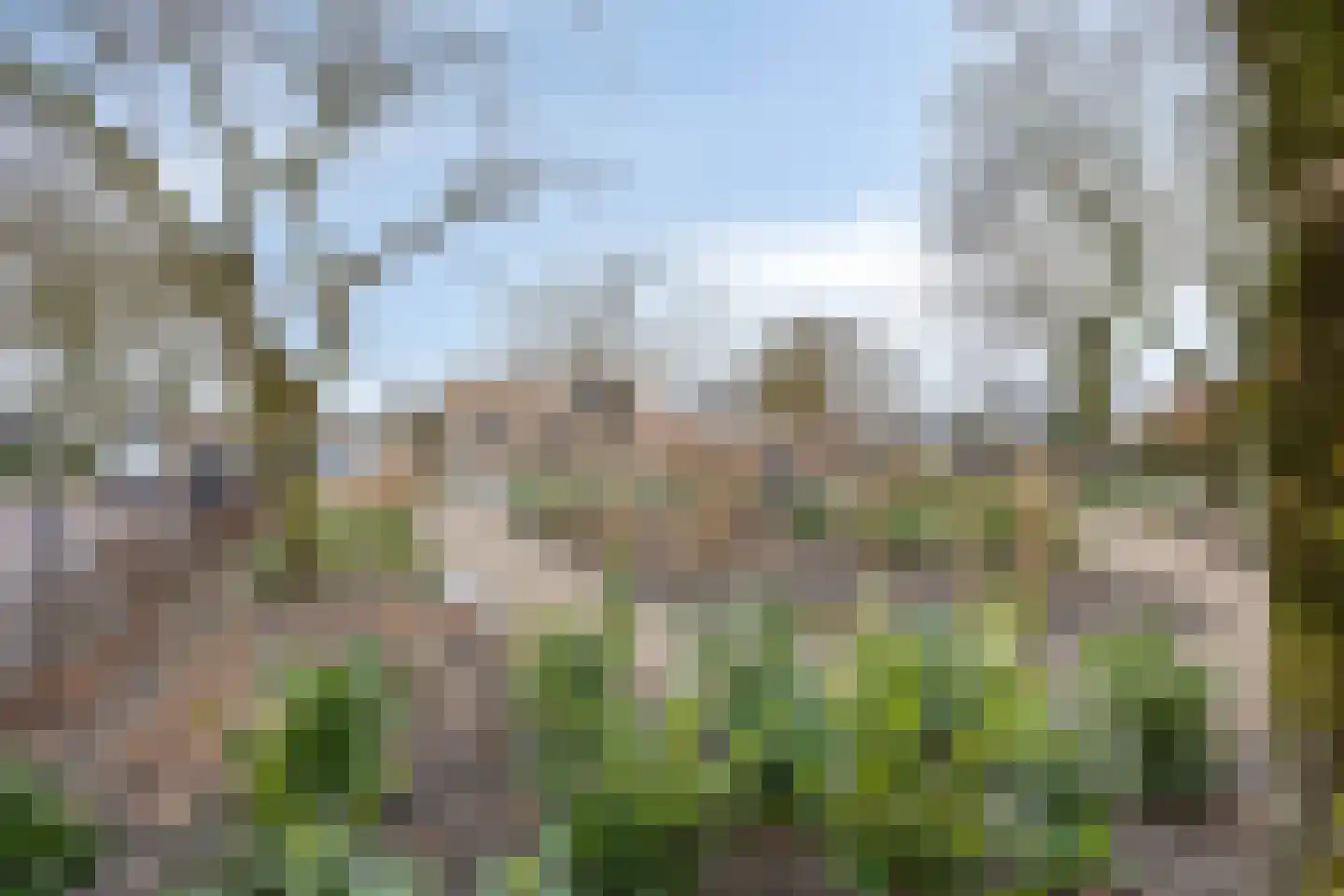 Koninginnelaan 15 Geldermalsen thumbnail 63