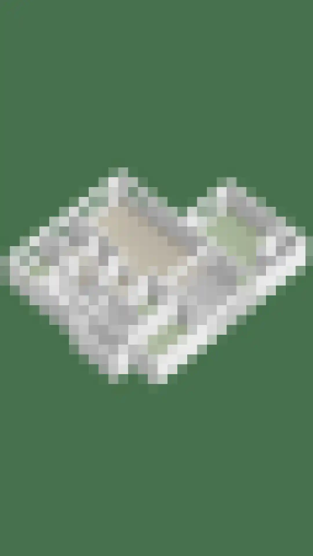 Koninginnelaan 15 Geldermalsen thumbnail 65