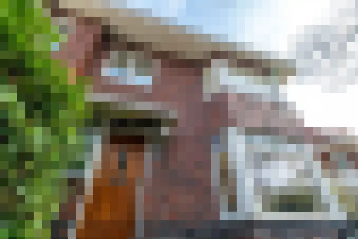 Koninginnelaan 15 Groningen thumbnail 10