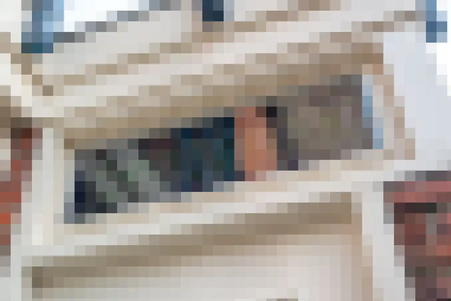 Koninginnelaan 15 Groningen thumbnail 100