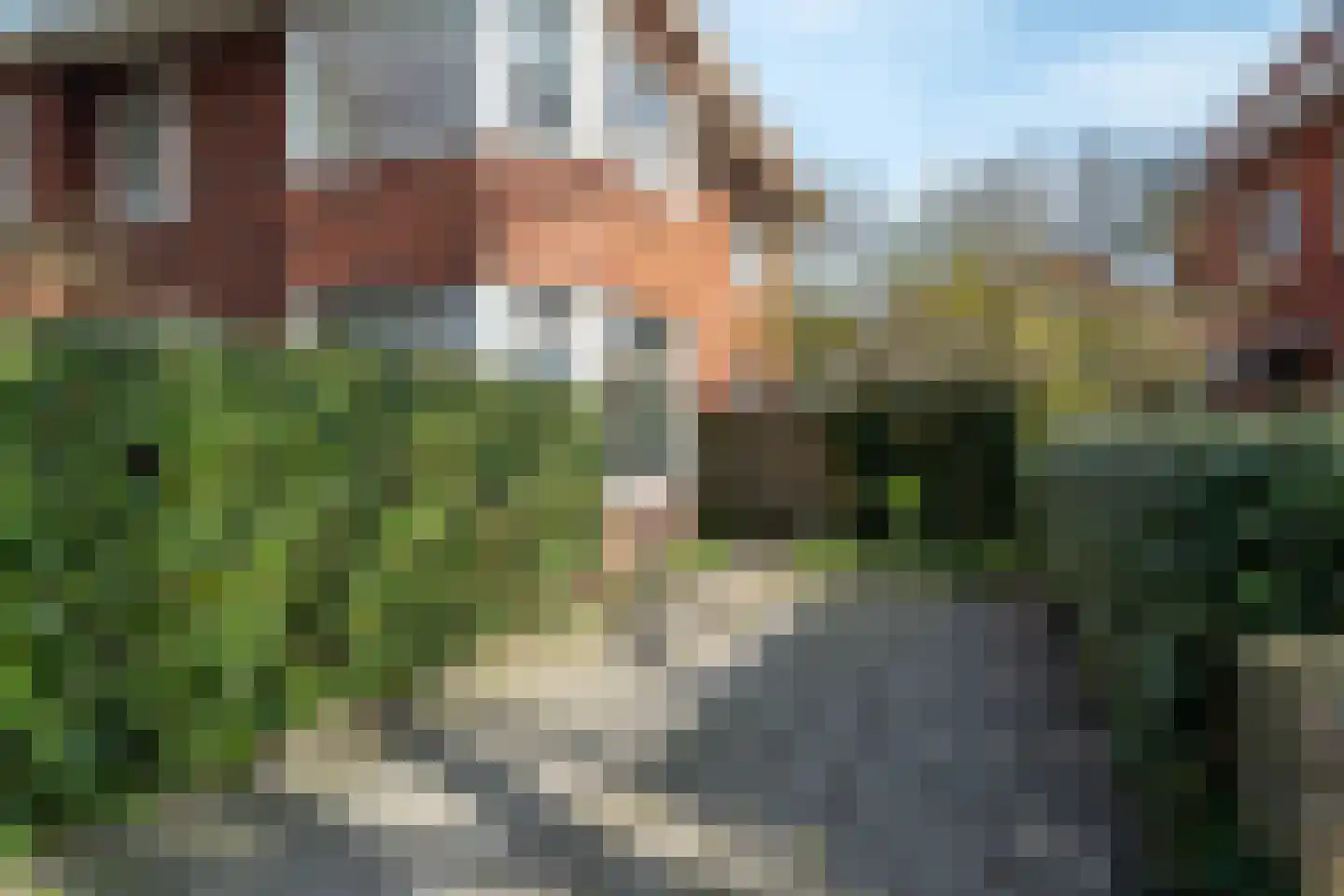 Koninginnelaan 15 Groningen thumbnail 103