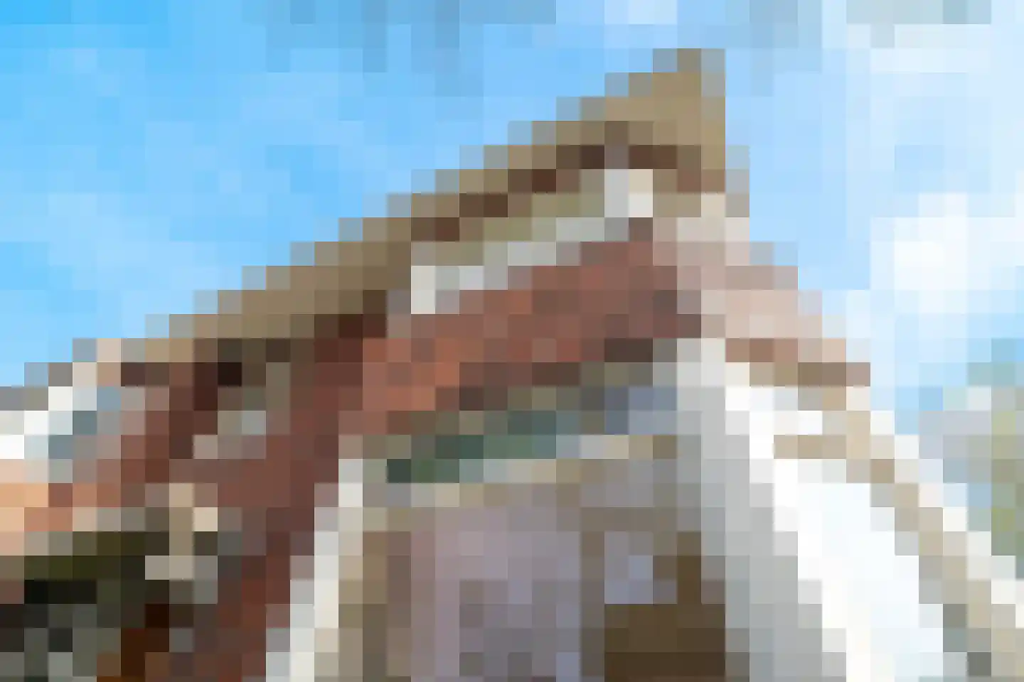 Koninginnelaan 15 Groningen thumbnail 104