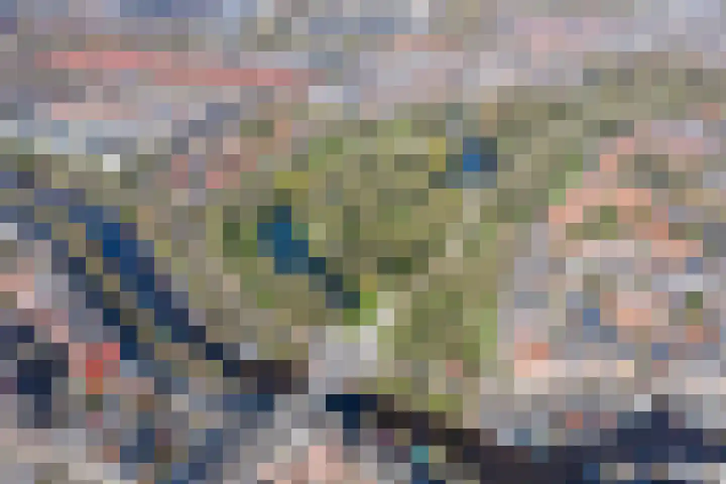 Koninginnelaan 15 Groningen thumbnail 109