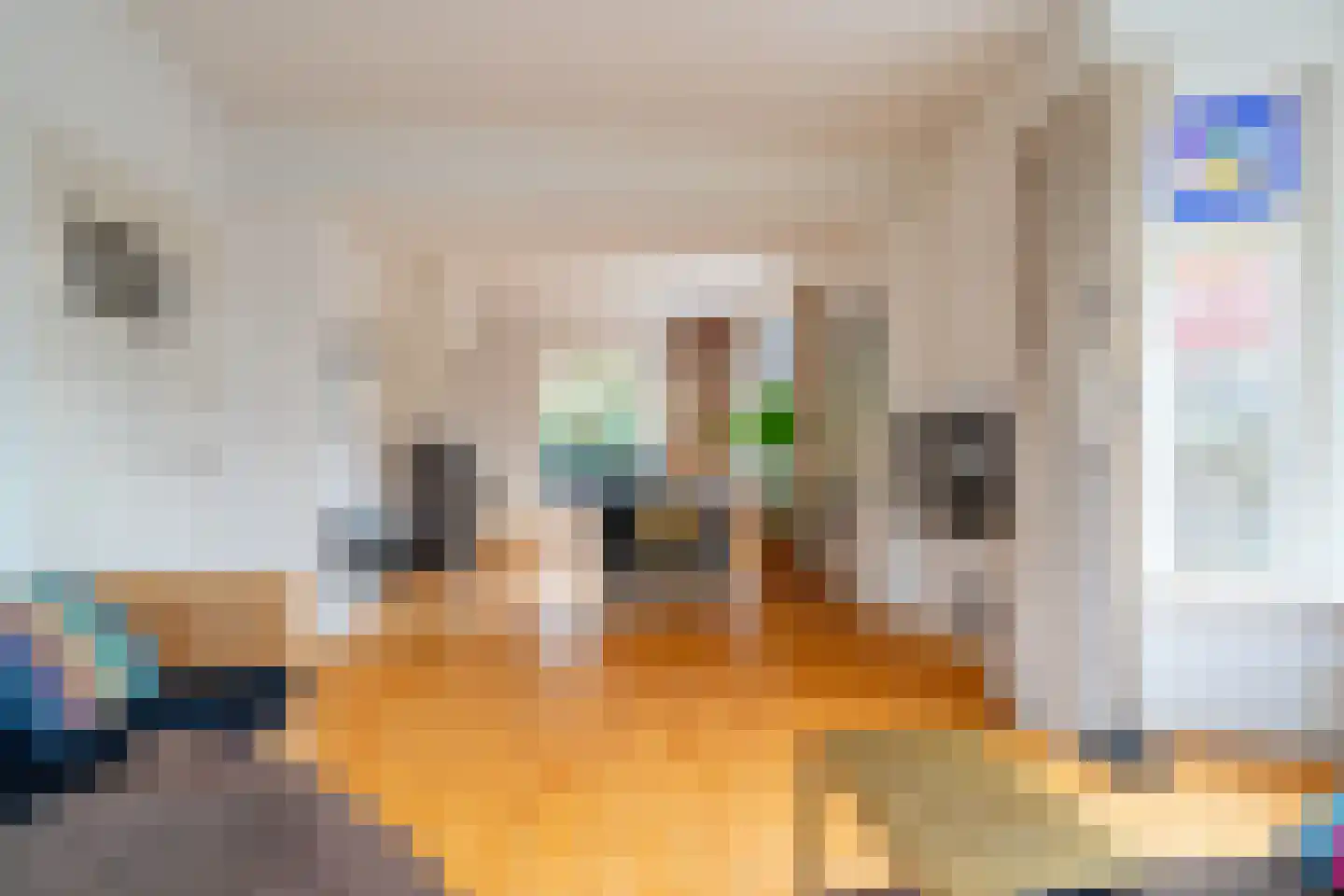 Koninginnelaan 15 Groningen thumbnail 22