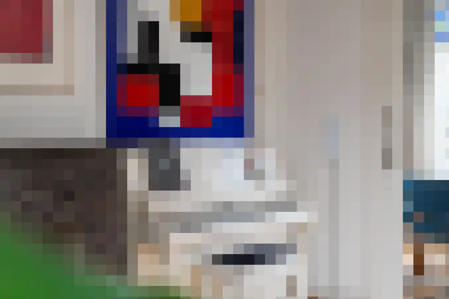Koninginnelaan 15 Groningen thumbnail 39