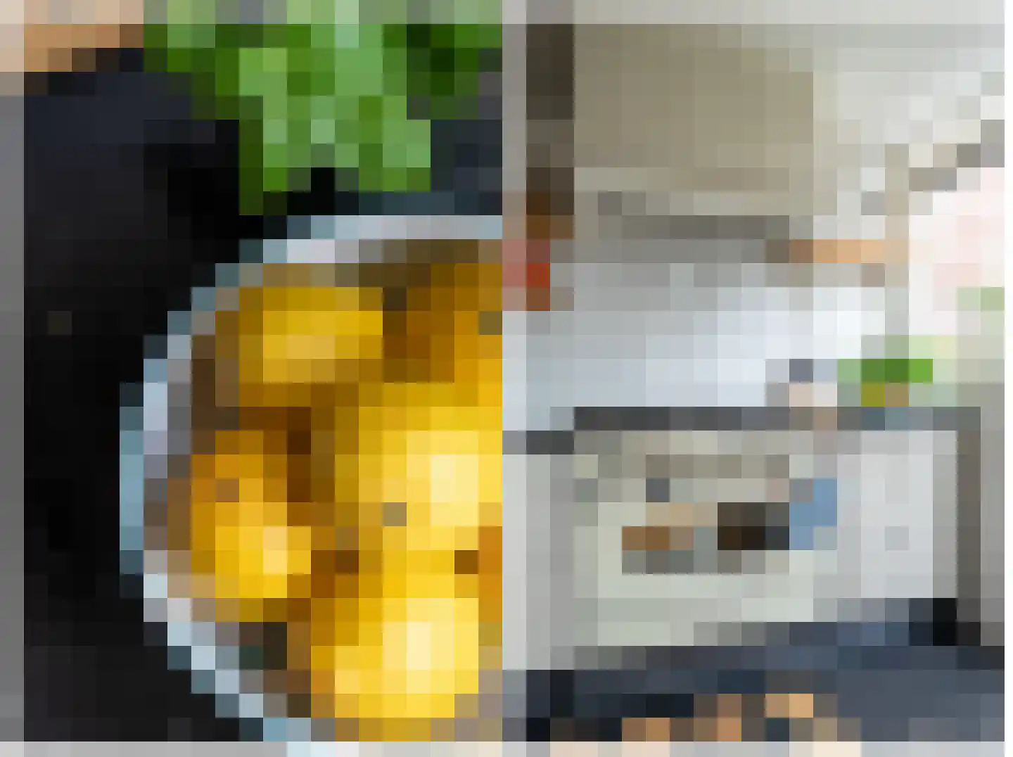 Koninginnelaan 15 Groningen thumbnail 47