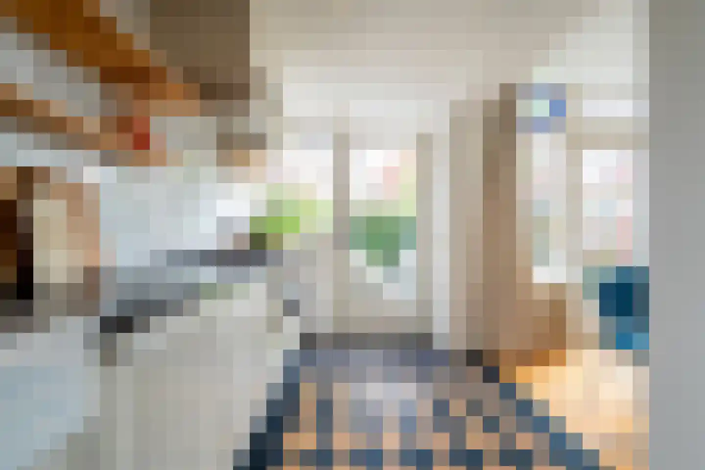 Koninginnelaan 15 Groningen thumbnail 49
