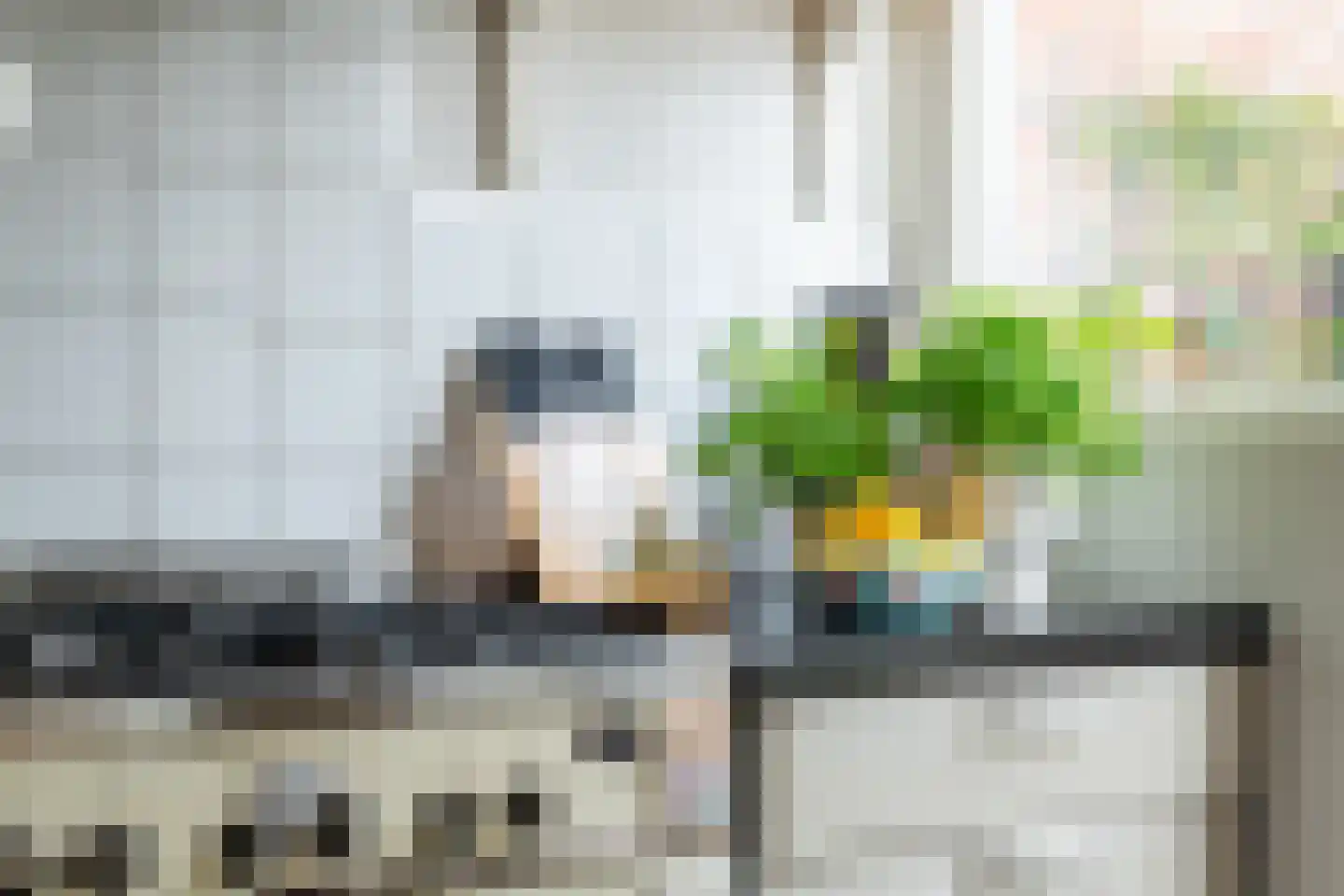 Koninginnelaan 15 Groningen thumbnail 52