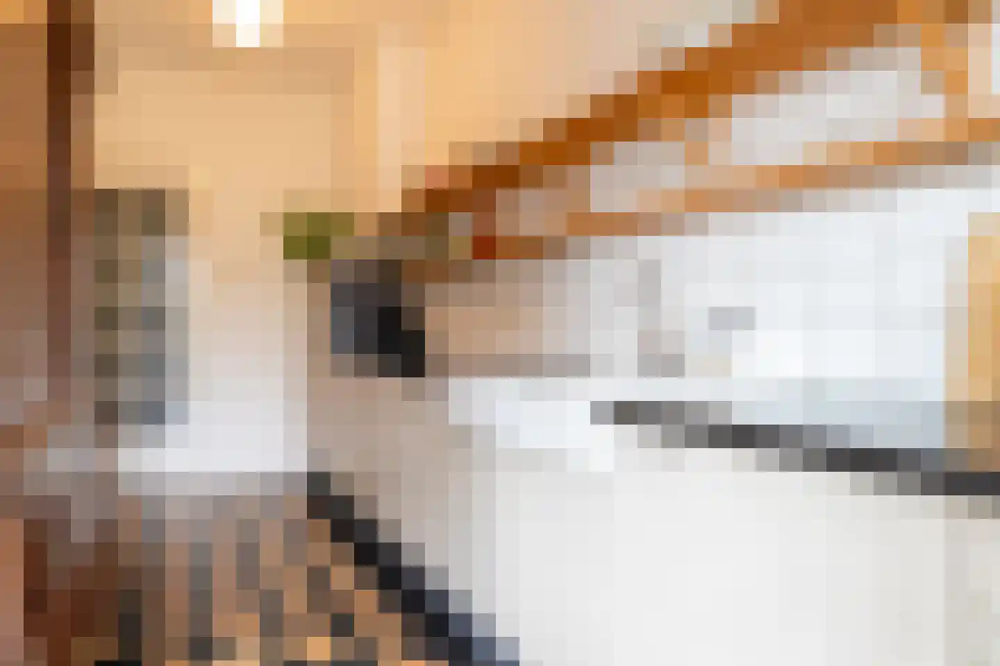 Koninginnelaan 15 Groningen thumbnail 54