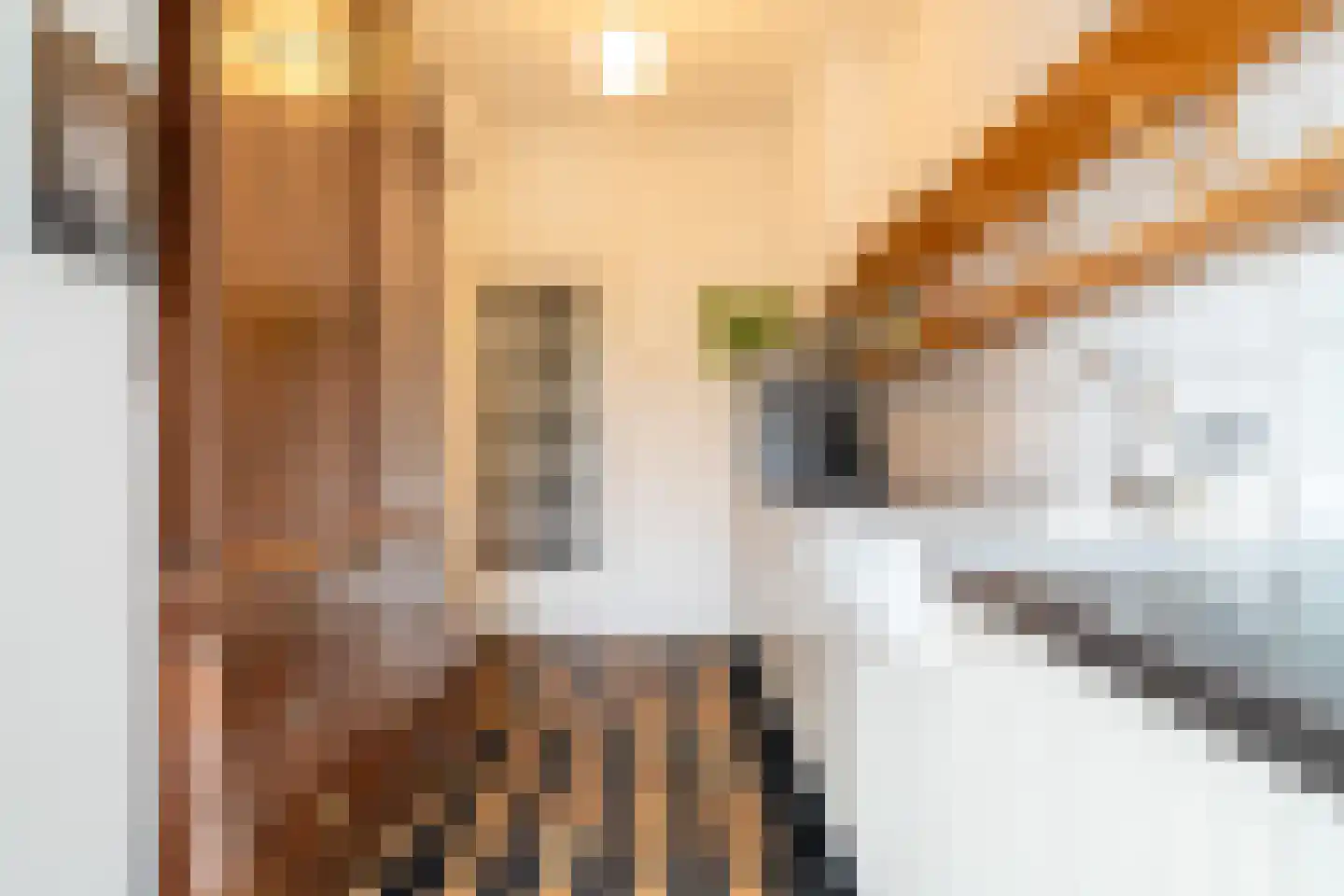 Koninginnelaan 15 Groningen thumbnail 56