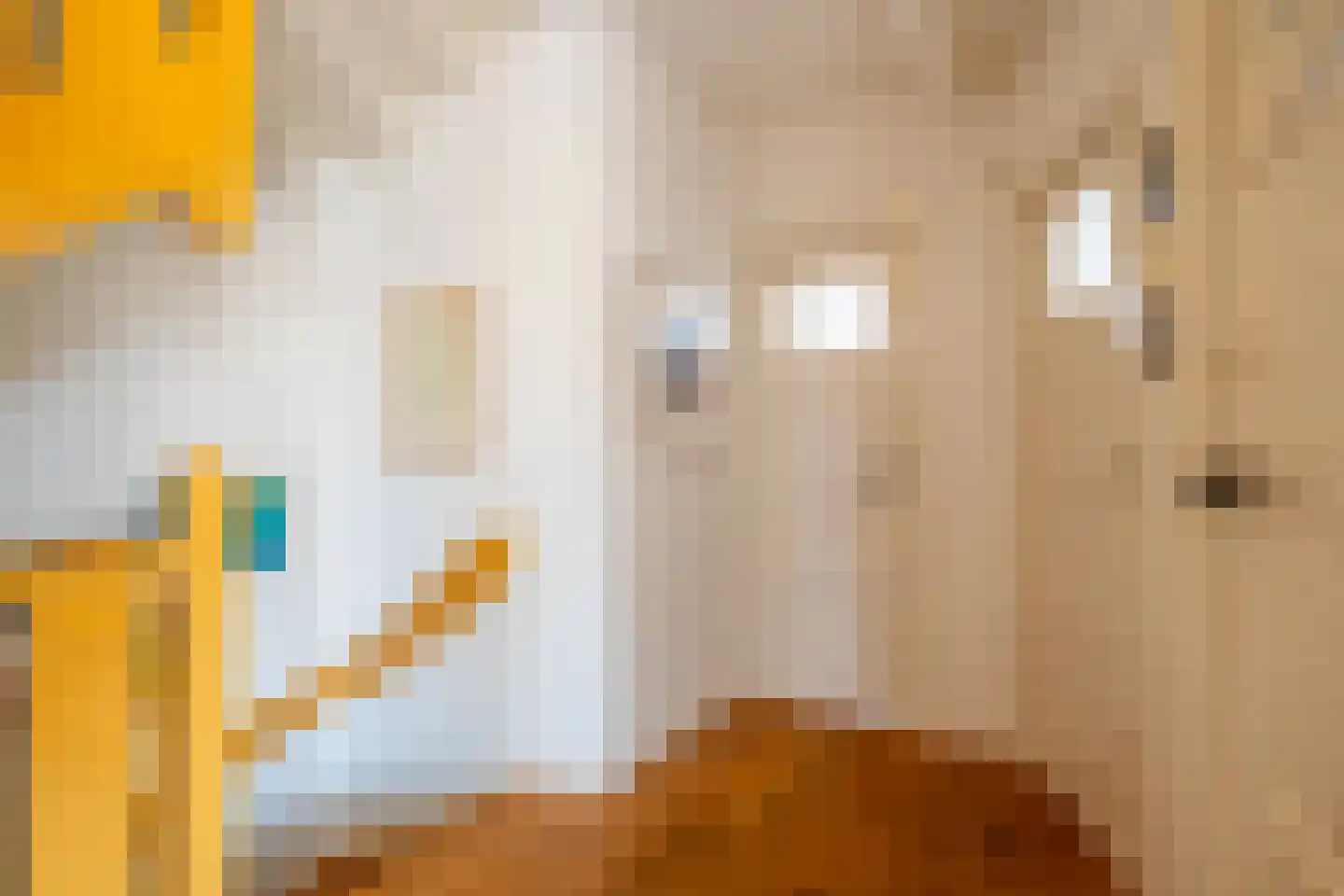 Koninginnelaan 15 Groningen thumbnail 59
