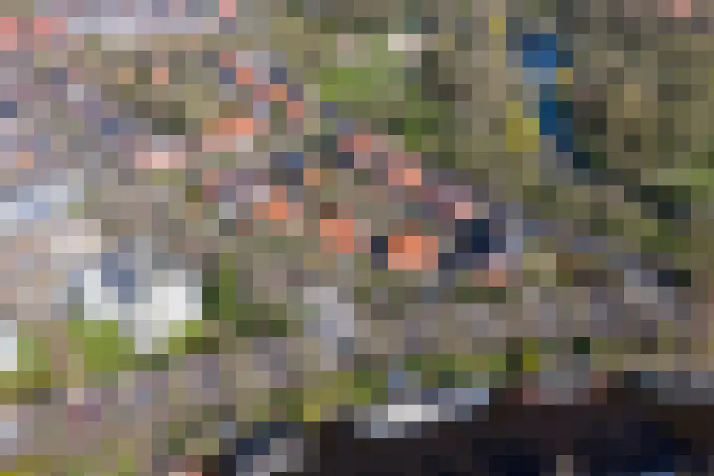 Koninginnelaan 15 Groningen thumbnail 6