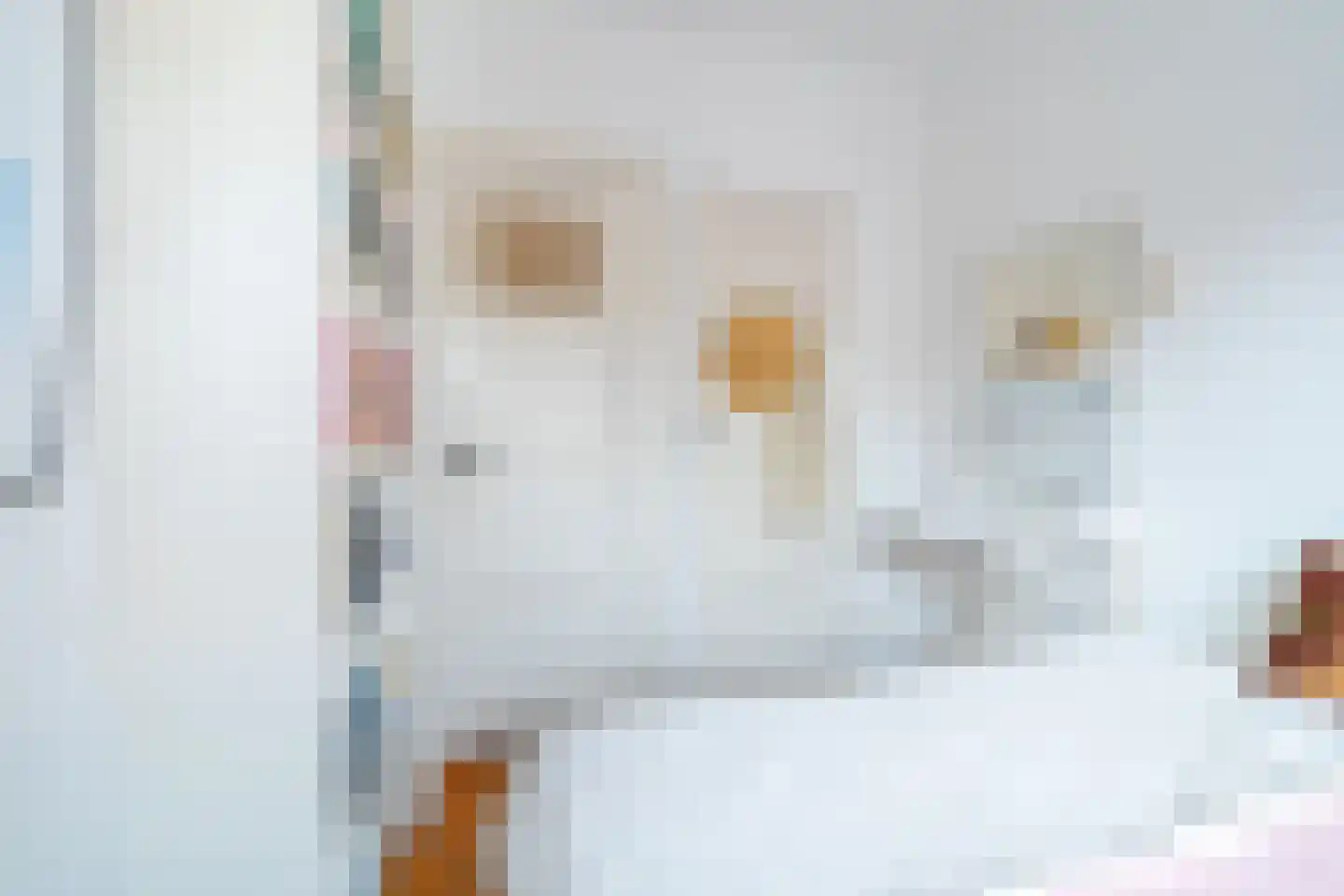 Koninginnelaan 15 Groningen thumbnail 72