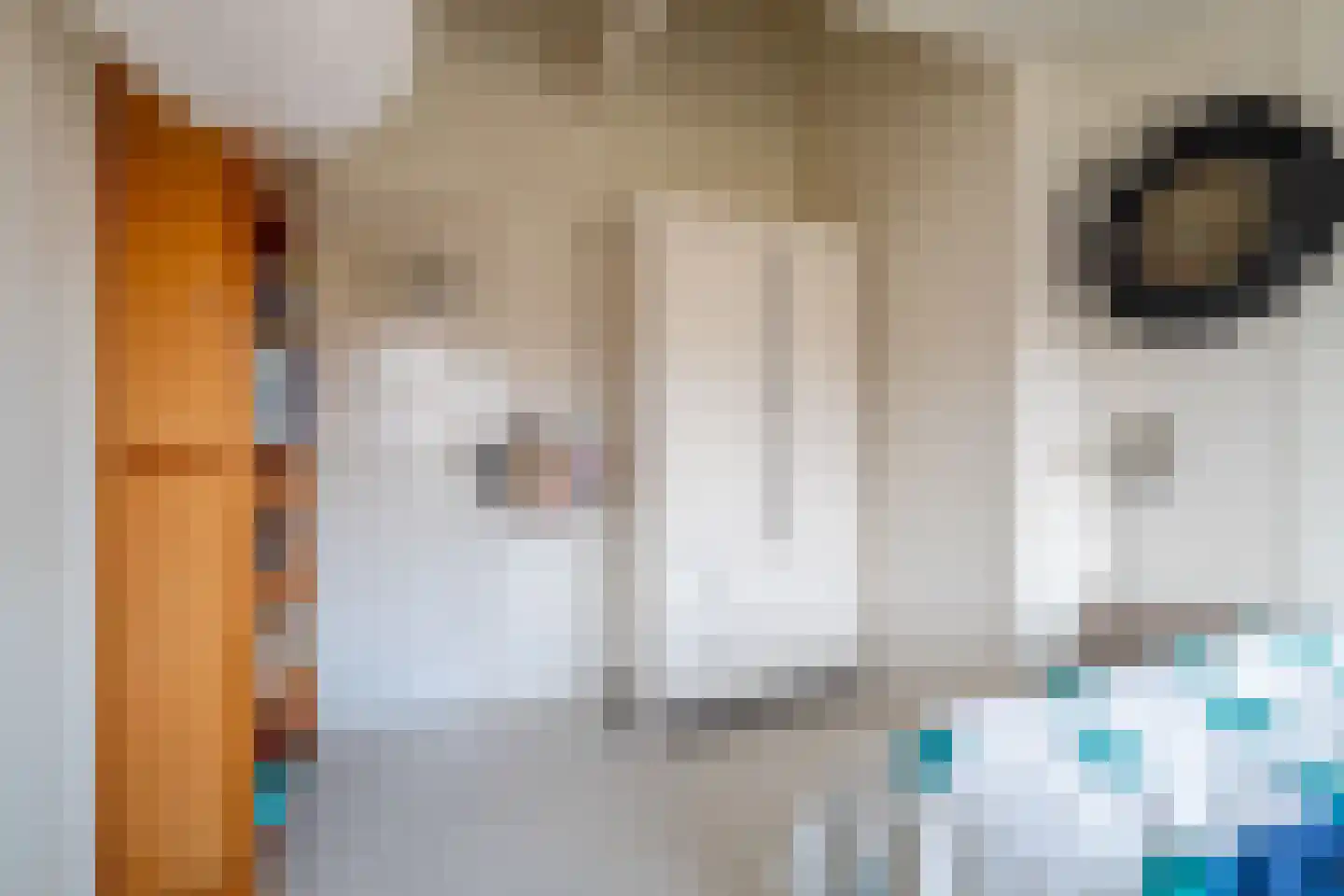 Koninginnelaan 15 Groningen thumbnail 79
