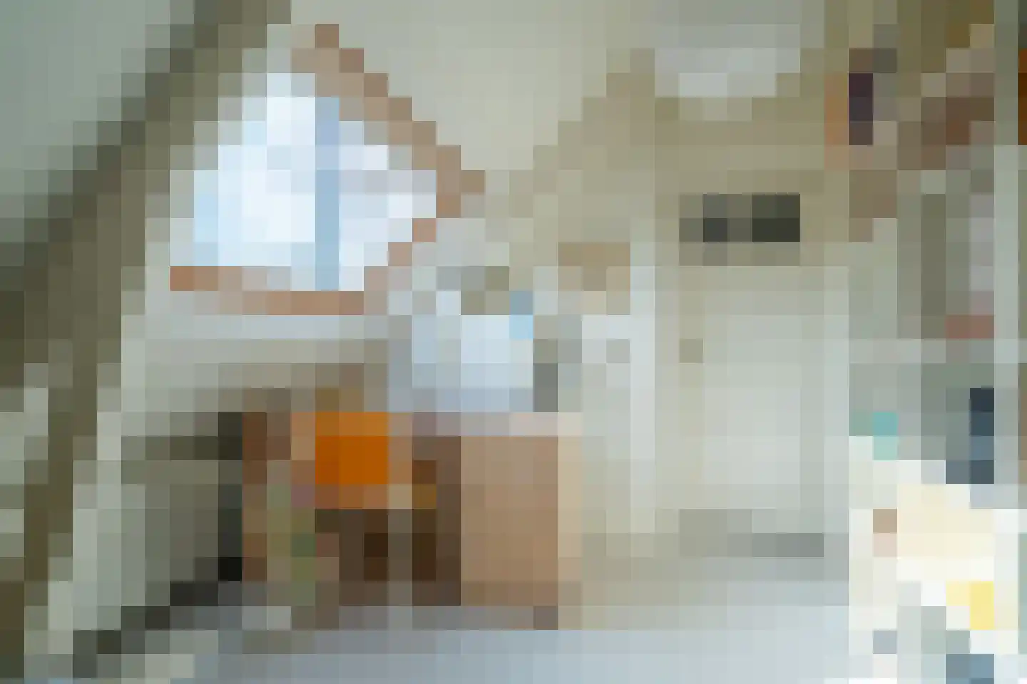 Koninginnelaan 15 Groningen thumbnail 81