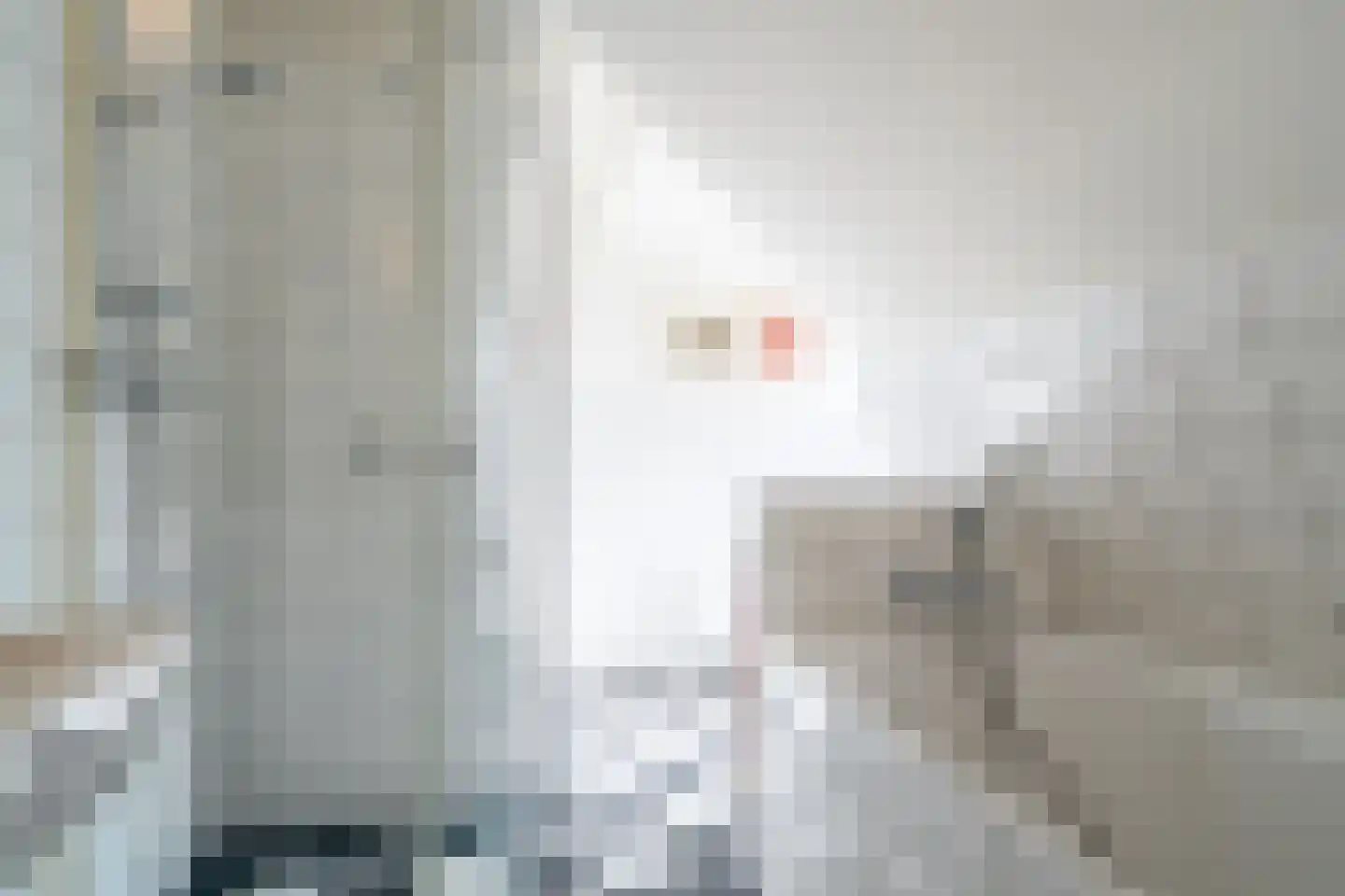 Koninginnelaan 15 Groningen thumbnail 87