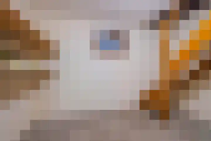 Koninginnelaan 15 Panningen thumbnail 30