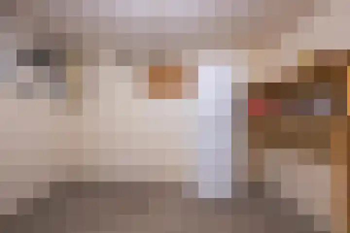 Koninginnelaan 15 Panningen thumbnail 31