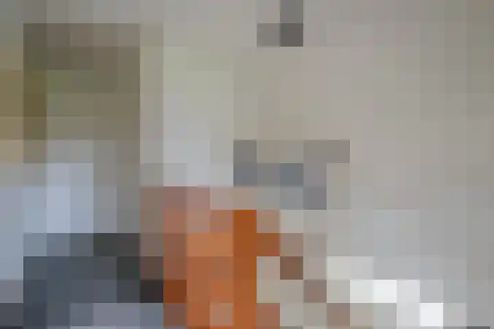 Koninginnelaan 15 Panningen thumbnail 34